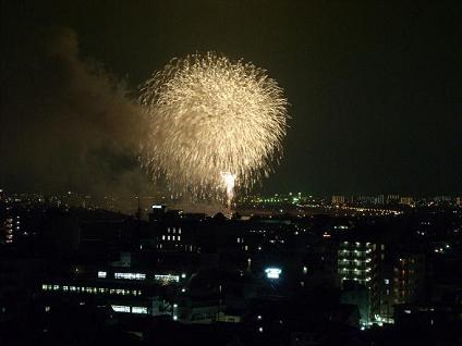 江戸川花火200806.JPG
