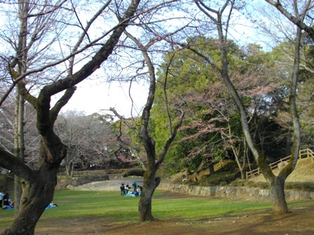 里見公園3.JPG