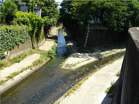 神田川善福寺川分流.JPG