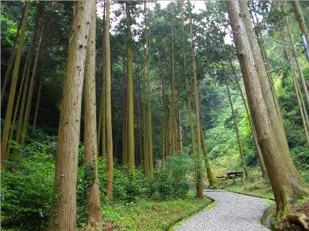 高天神城搦め手門跡.JPG