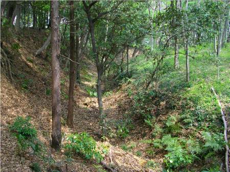 武蔵松山城二の丸と春日丸の空堀.JPG