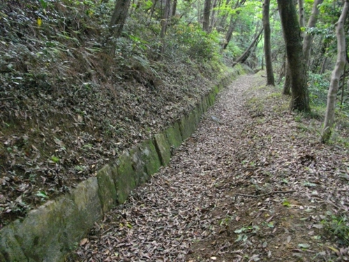 石城山神籠石列石 (4).JPG