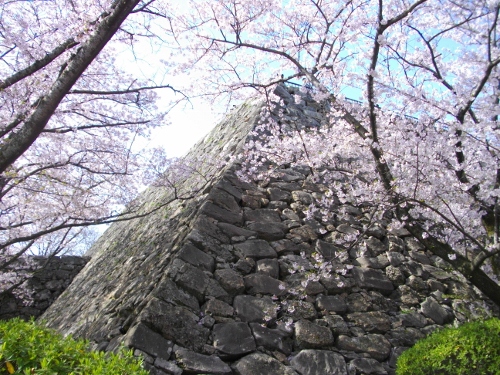 福岡城天守台 (500x375).jpg