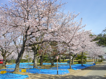 徳島城表御殿.JPG