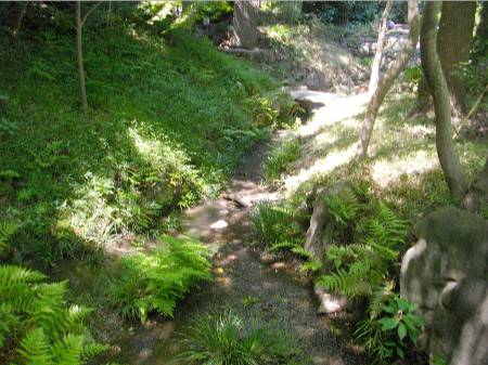 小石川後楽園竜田川.JPG