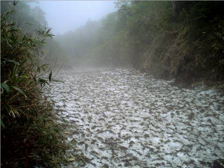 草津白根山雪渓.JPG