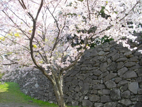 福岡城二の丸石垣 (500x375).jpg