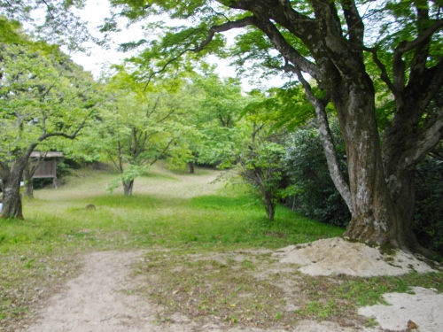 月山富田城本丸 (500x375).jpg
