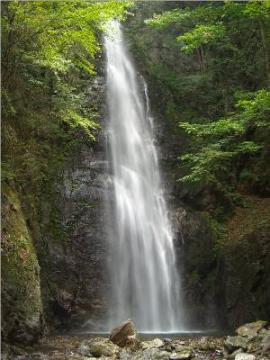 川苔山百尋の滝