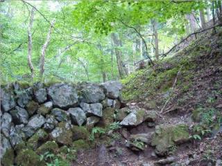 川苔山の石垣