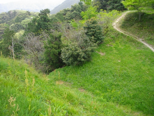 月山富田城本丸堀切 (500x375).jpg