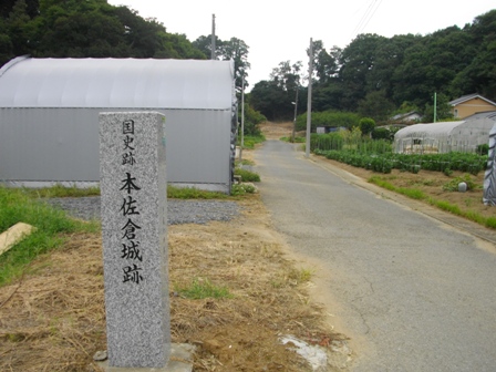 本佐倉城東山馬場より.JPG