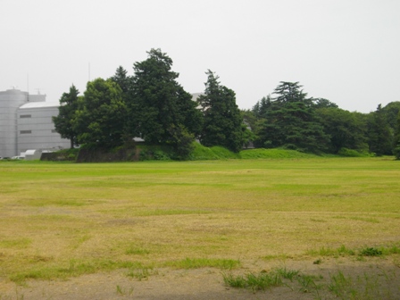 館林城本丸遠景.JPG