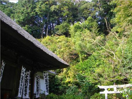 杉本寺観音堂裏手.JPG