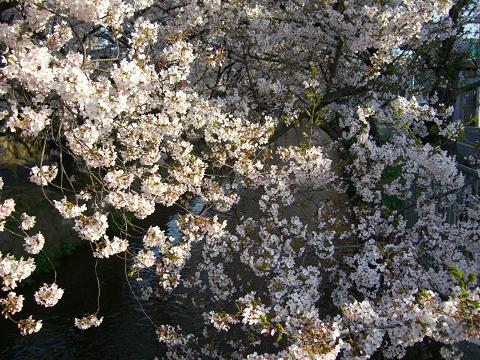 040503