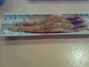 大穴子
