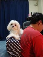 ２００７・２・７ 001.jpg