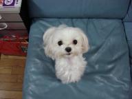 ２００７・２・７ 099.jpg