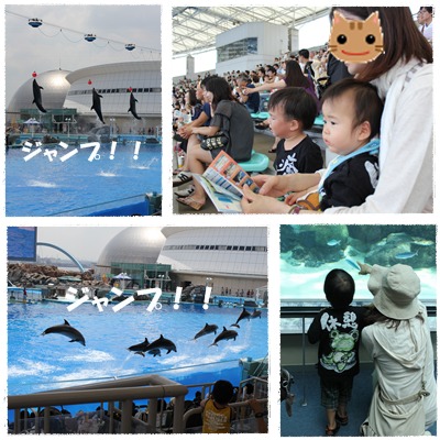 名古屋港水族館１.jpg