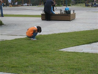 IMG_5782.jpg