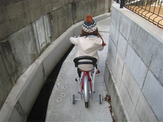 IMG_6632.jpg