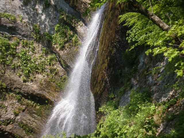 白糸の滝１