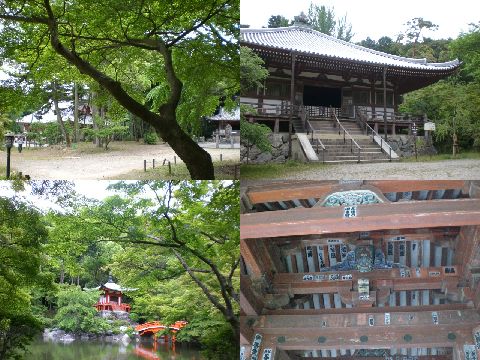 醍醐寺４