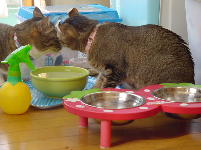 DSC07095.JPG