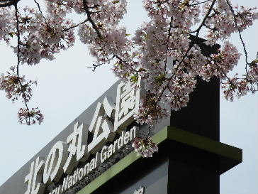 北の丸