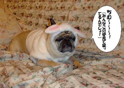 画像 103.jpg