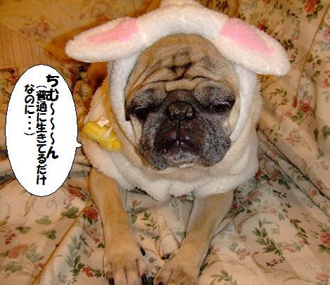 画像 110.jpg