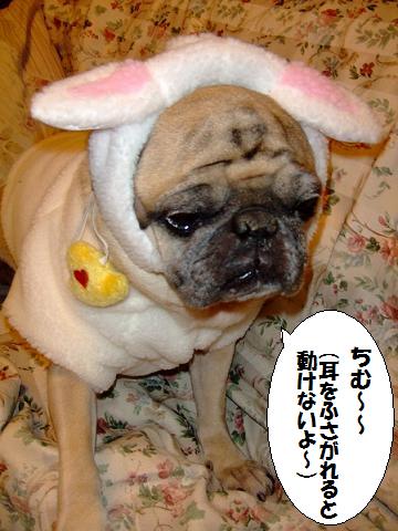 画像 109.jpg