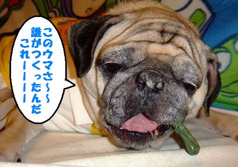 画像 078.jpg