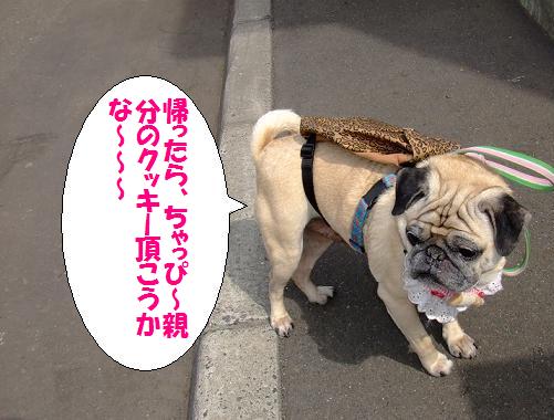 画像 140.jpg