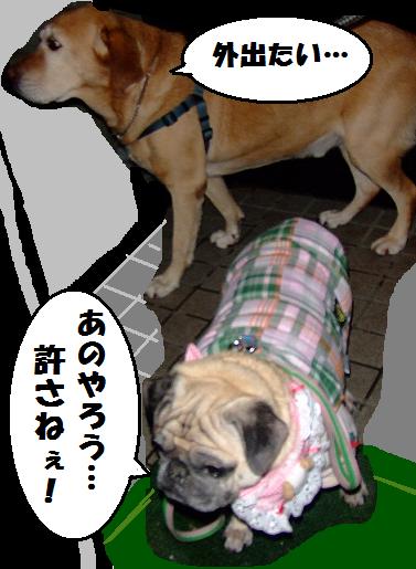 画像 086.jpg