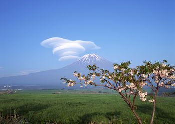 富士山様