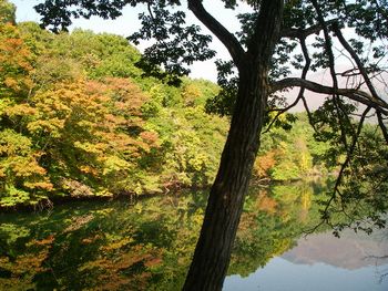 長老湖の紅葉