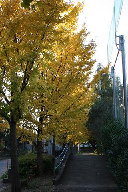 IMG_5474 1.JPG