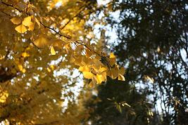IMG_5481 1.JPG