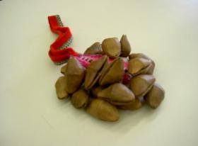 チャフチャス-木の実