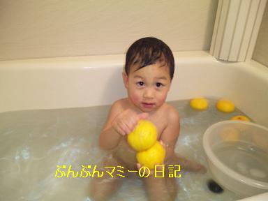 ぶんぶんのユズ風呂