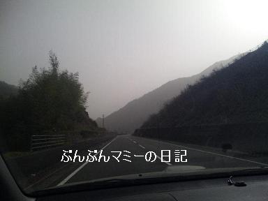 黄砂