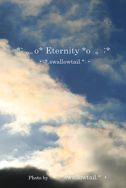 Photo by swallowtail b.jpg