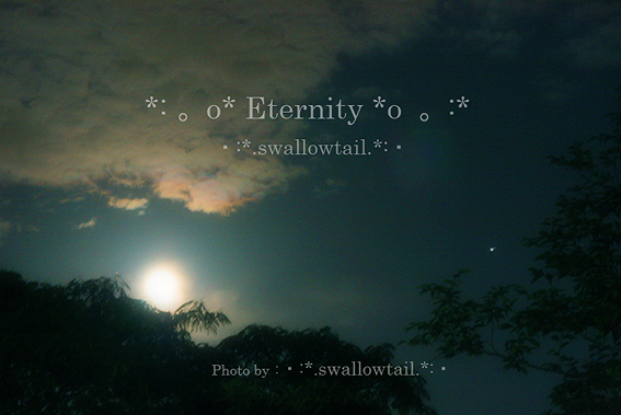 Photo by swallowtail　L.jpg