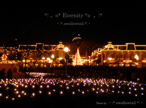 Photo by swallowtail 4.jpg