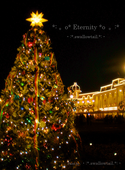 Photo by swallowtail 5.jpg