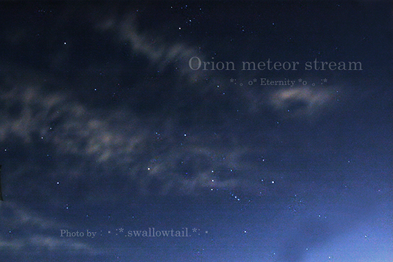 Photo by swallowtail　ｎ.jpg