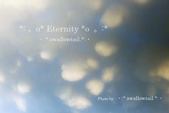 Photo by swallowtail　G.jpg