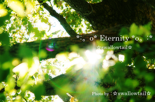 Photo by ☆swallowtail☆ J.jpg