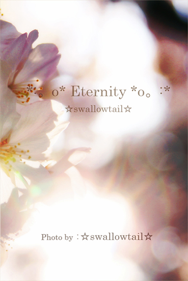 Photo by ☆swallowtail☆ I.jpg